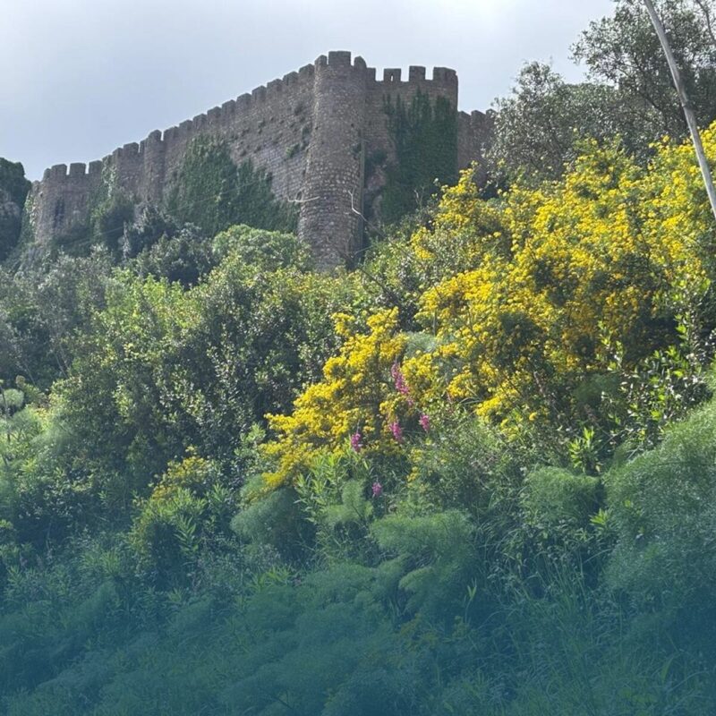 Óbidos Perimeter Serenity Walk